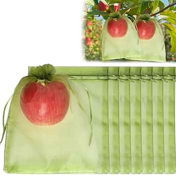 81bD8MFpfCL._UF350,350_QL50_.jpg 81bD8MFpfCL._UF350,350_QL50_.jpg