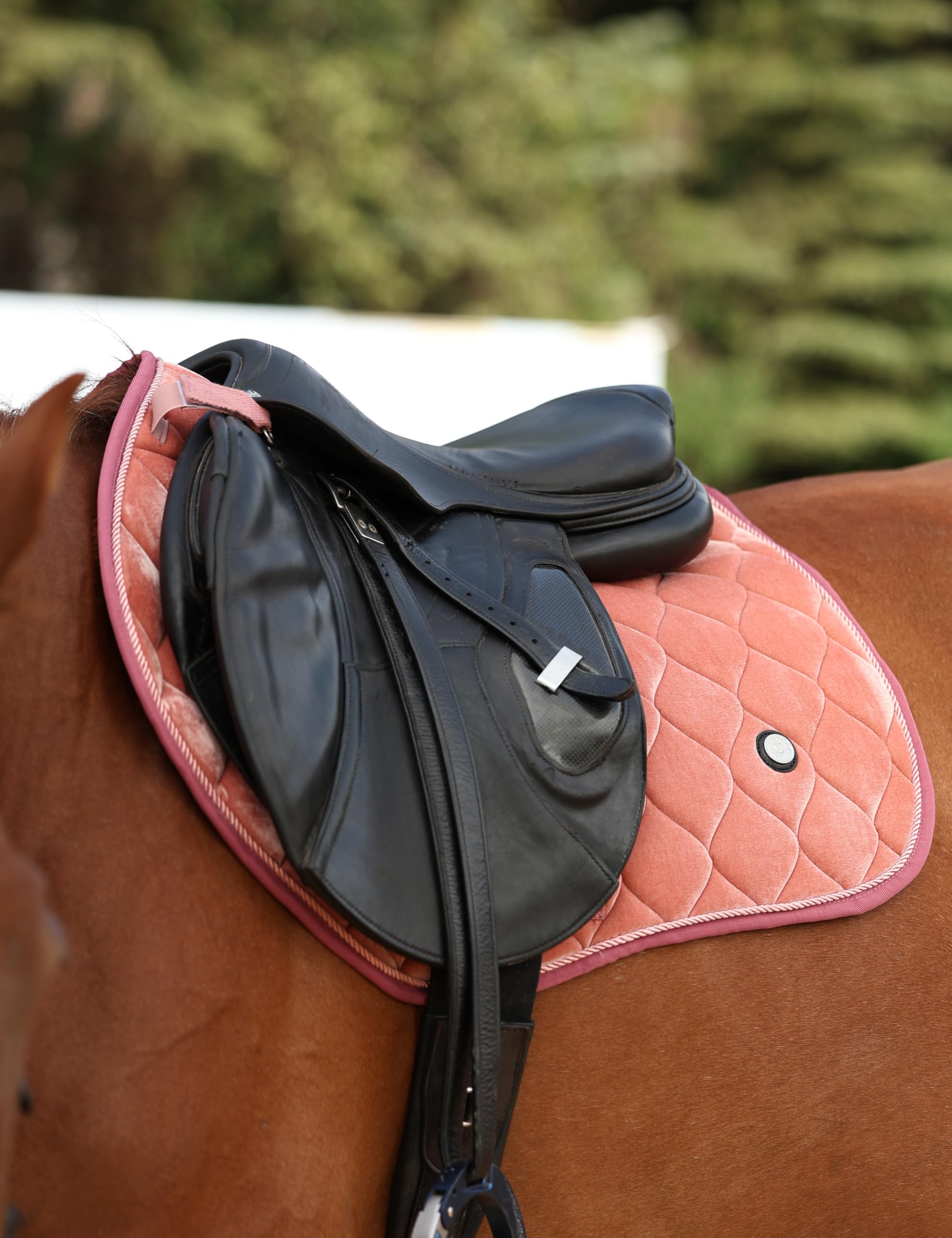Harrison Howard Tapis de selle de cheval CC Sleek Velvet