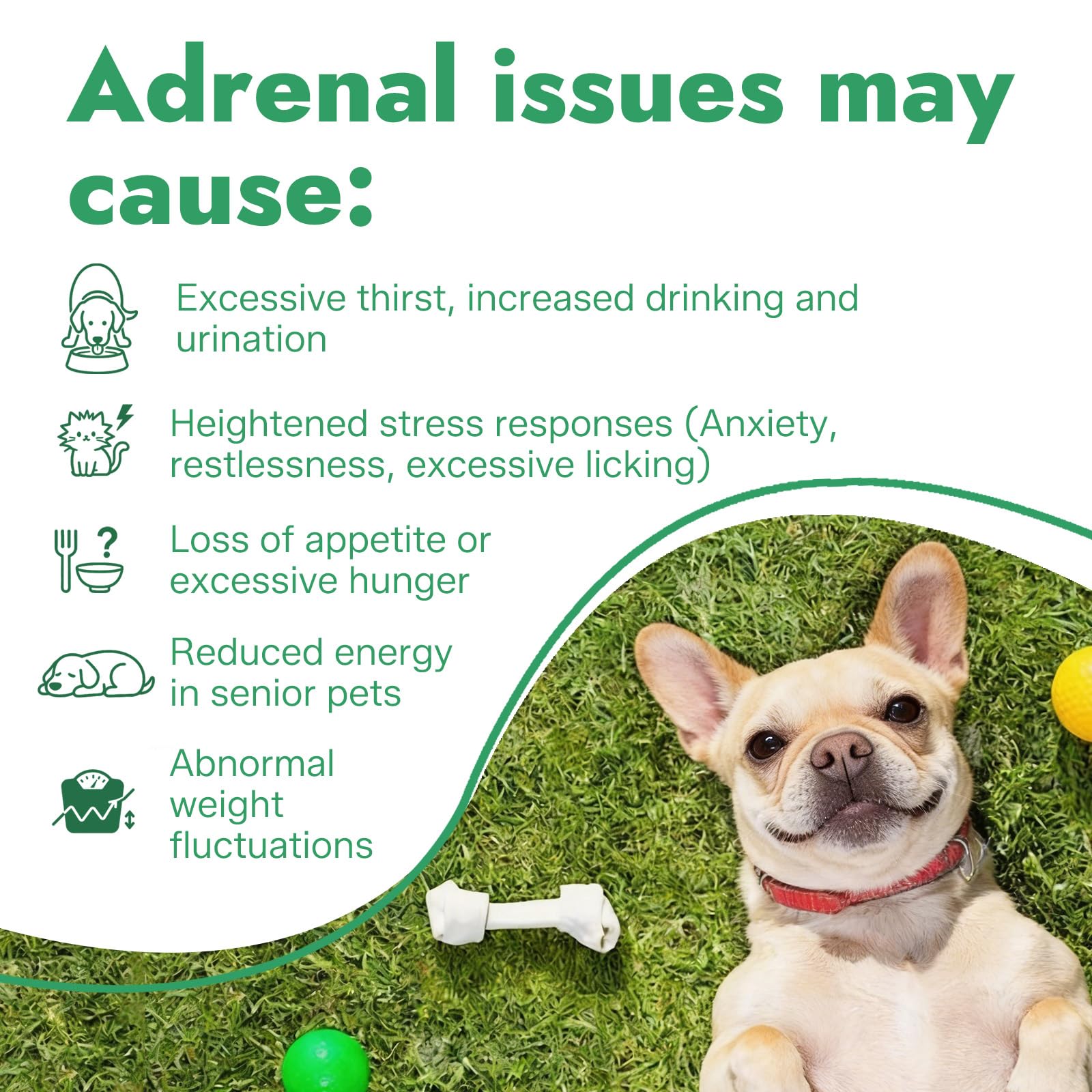 Adrenal Balance Harmony Drops for Dogs, Relieve Cushing's Liquid — Amazon image 5