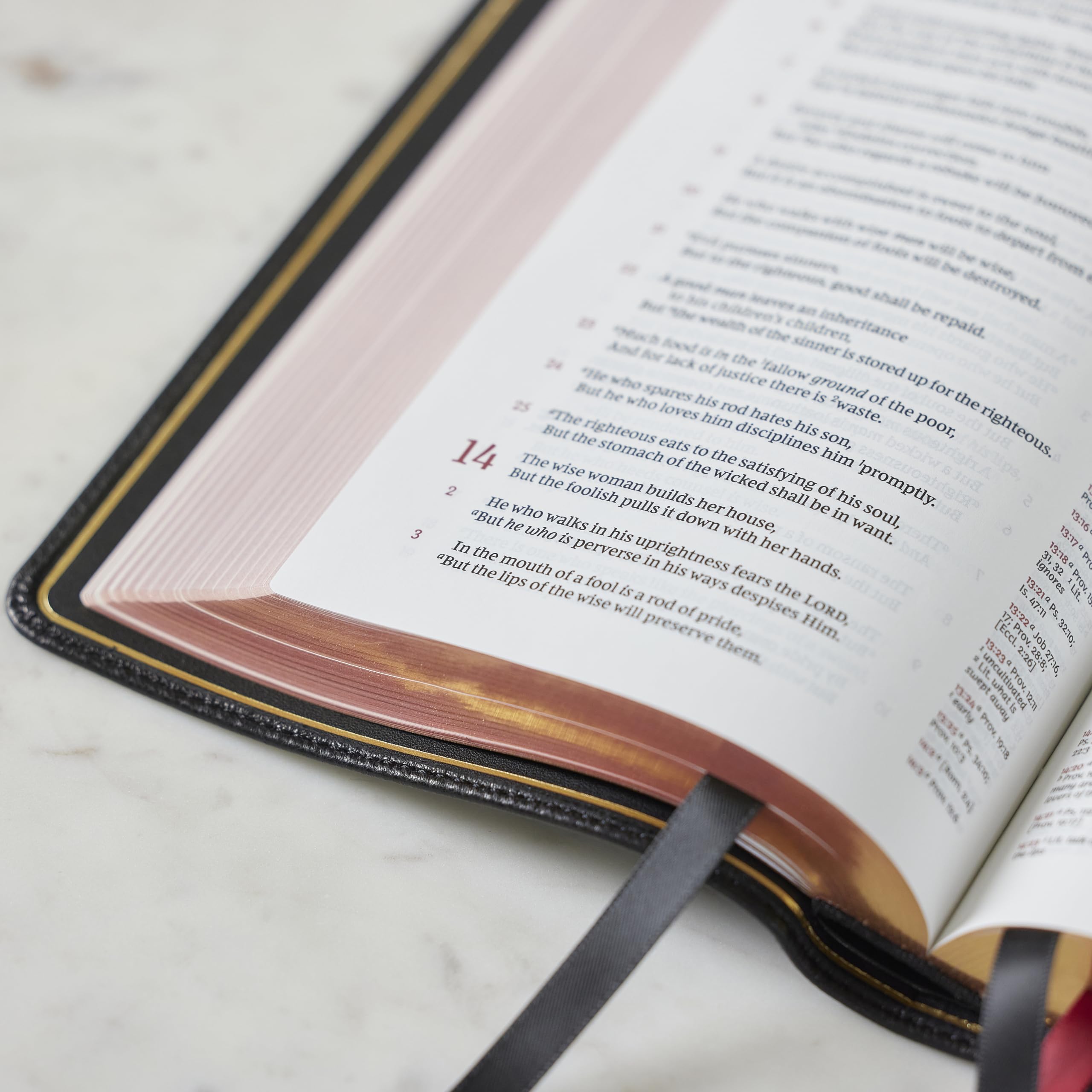 NKJV Bible: Single-Column Verse-By-Verse W/ 72,000 Cross-References, Black Goatskin Leather, Premier Collection, Comfort Print: New King James ... Premier Collection, Comfort Print