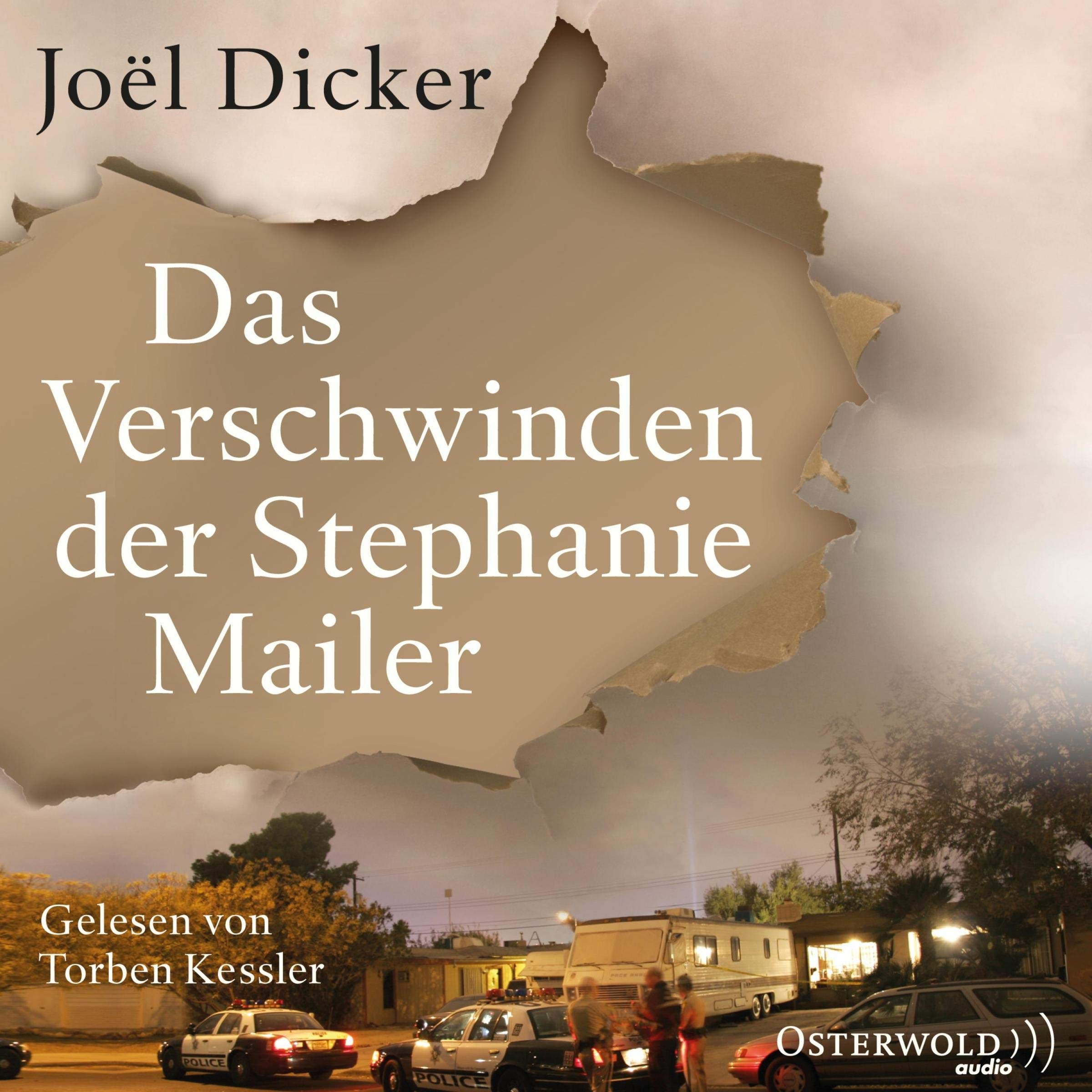 Cover art for Das Verschwinden der Stephanie Mailer