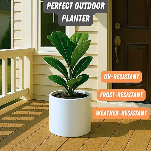 Miniatura 5 de Fox & Fern - Maceta (fibra de piedra) Padre