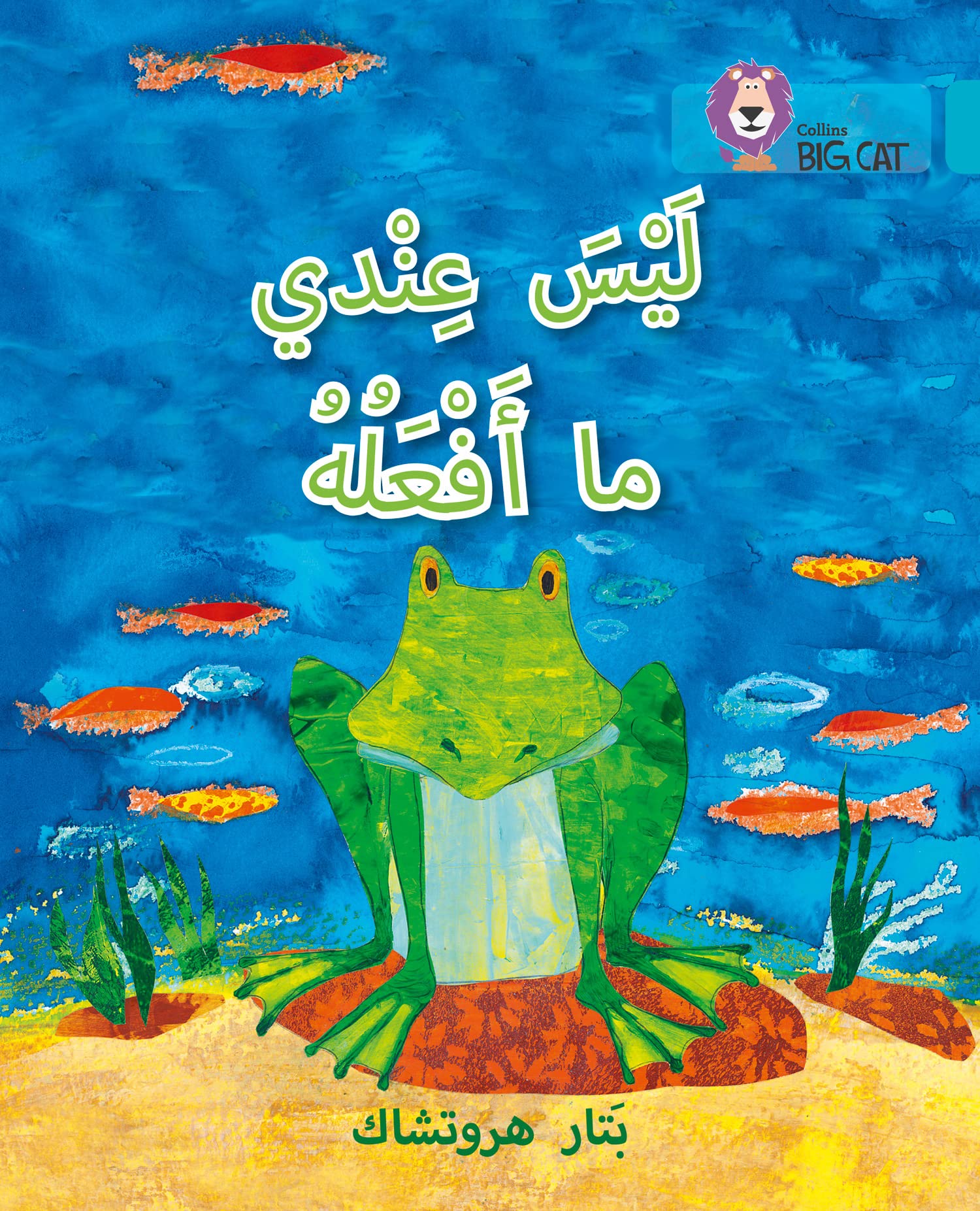BIG CAT ARABIC - I HV NOTHING Level 7 by Petr Horáček (Paperback Book)