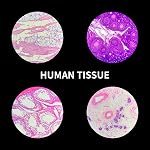 Prepared Microscope Slides with Specimens 100Pcs for Kids Students Science | Animal Plant Insect Specimens, Optical Glass with Labels, STEM Kit for Homeschool Classroom Lab & Science Education