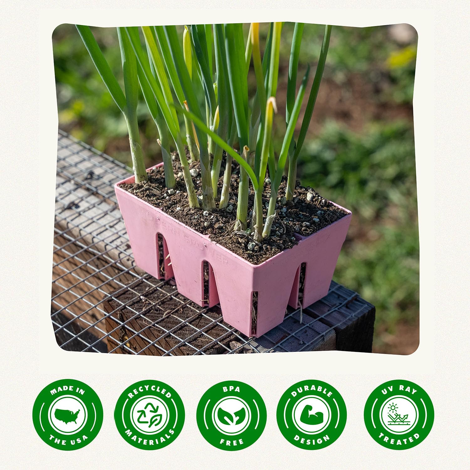 Epic Gardening Taca startowa wielokrotnego użytku na nasiona, 6-ogniwowa, łatwe podlewanie, tace startowe na nasiona, przyjazne dla ogrodników tacki na sadzonki, poddana działaniu UV, bez BPA (różowa