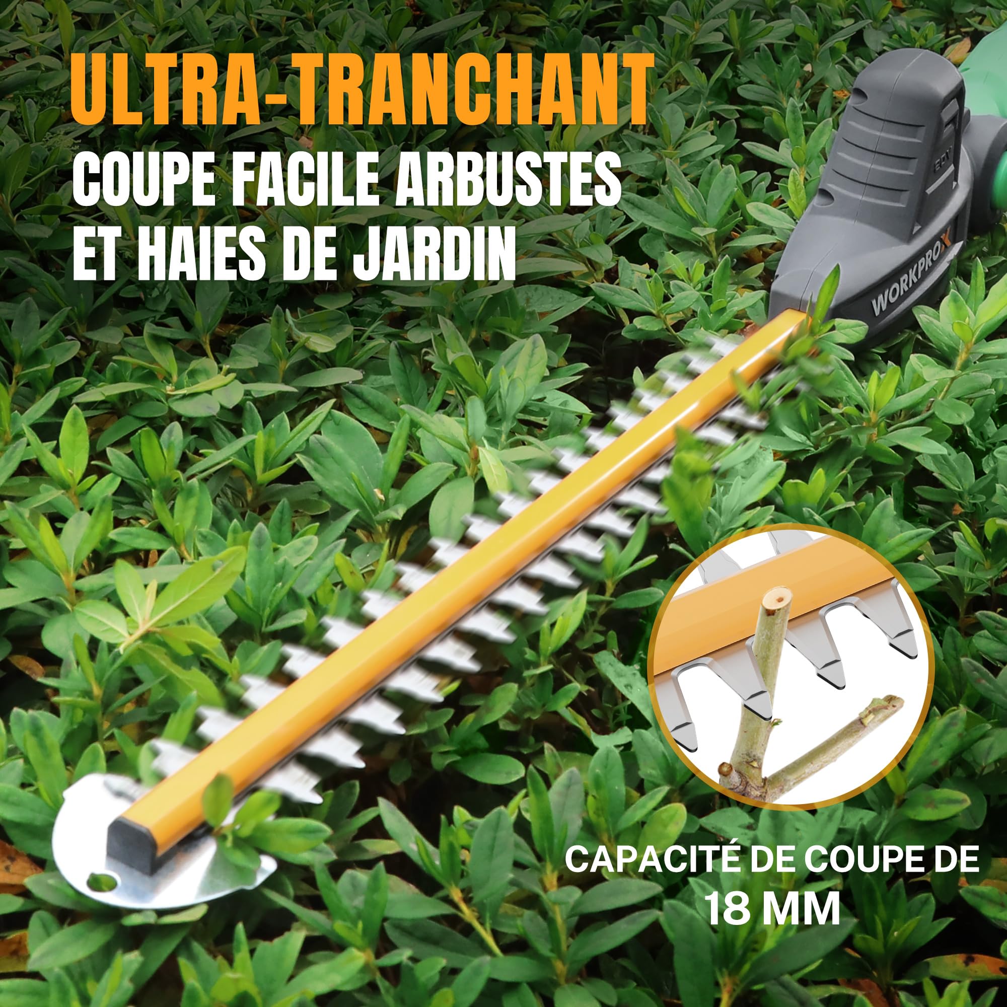 WORKPROX Taille-haies Télescopique Sans Fil 20 V avec Batterie 2,0 Ah