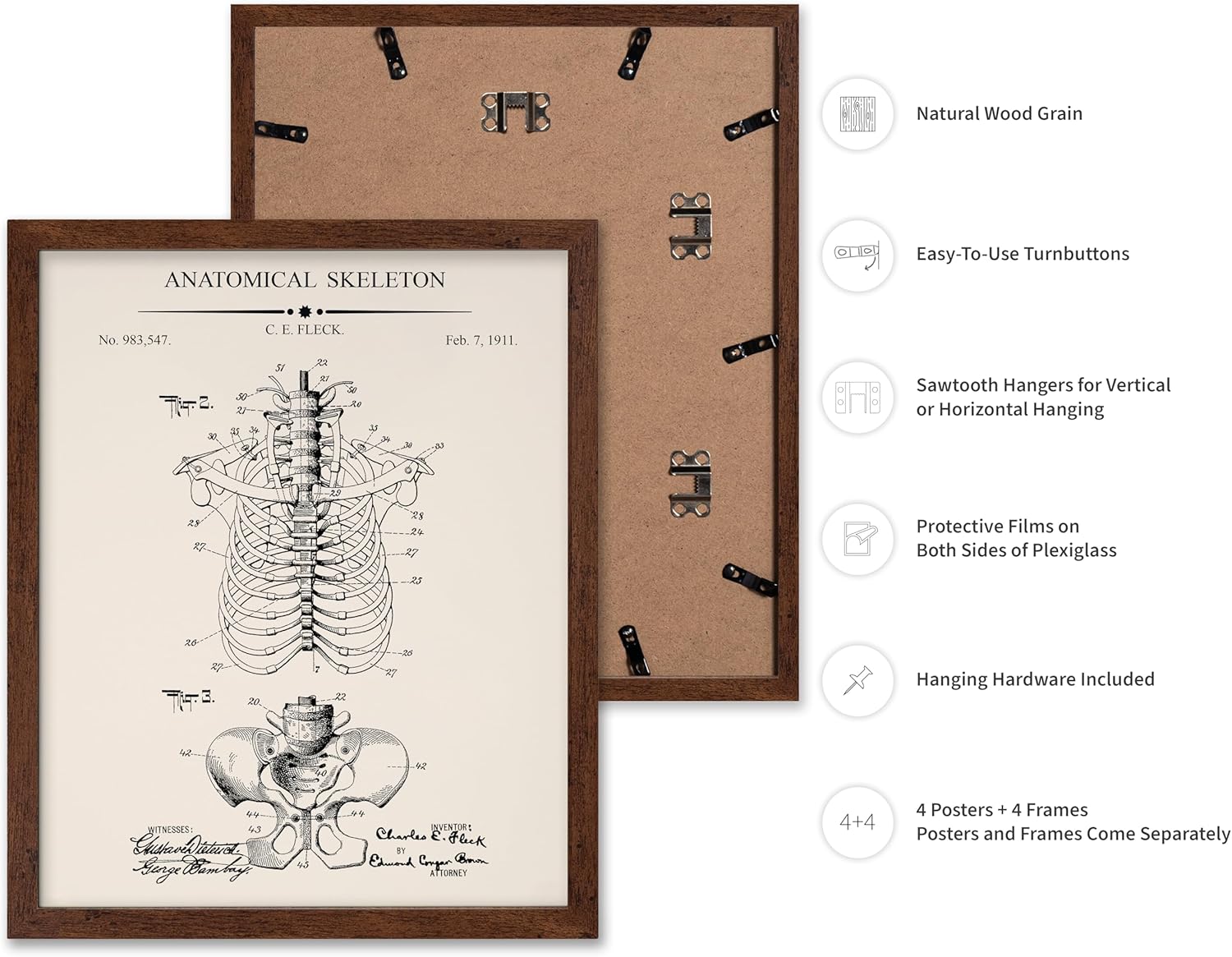 Poster Master 4-Piece Anatomy Blueprint Poster - Skeleton Patent Print - Anatomical Head Art - Educational Design - Science Design - Technical Drawing - Library or Clinic Decor - 11x14 Brown Framed