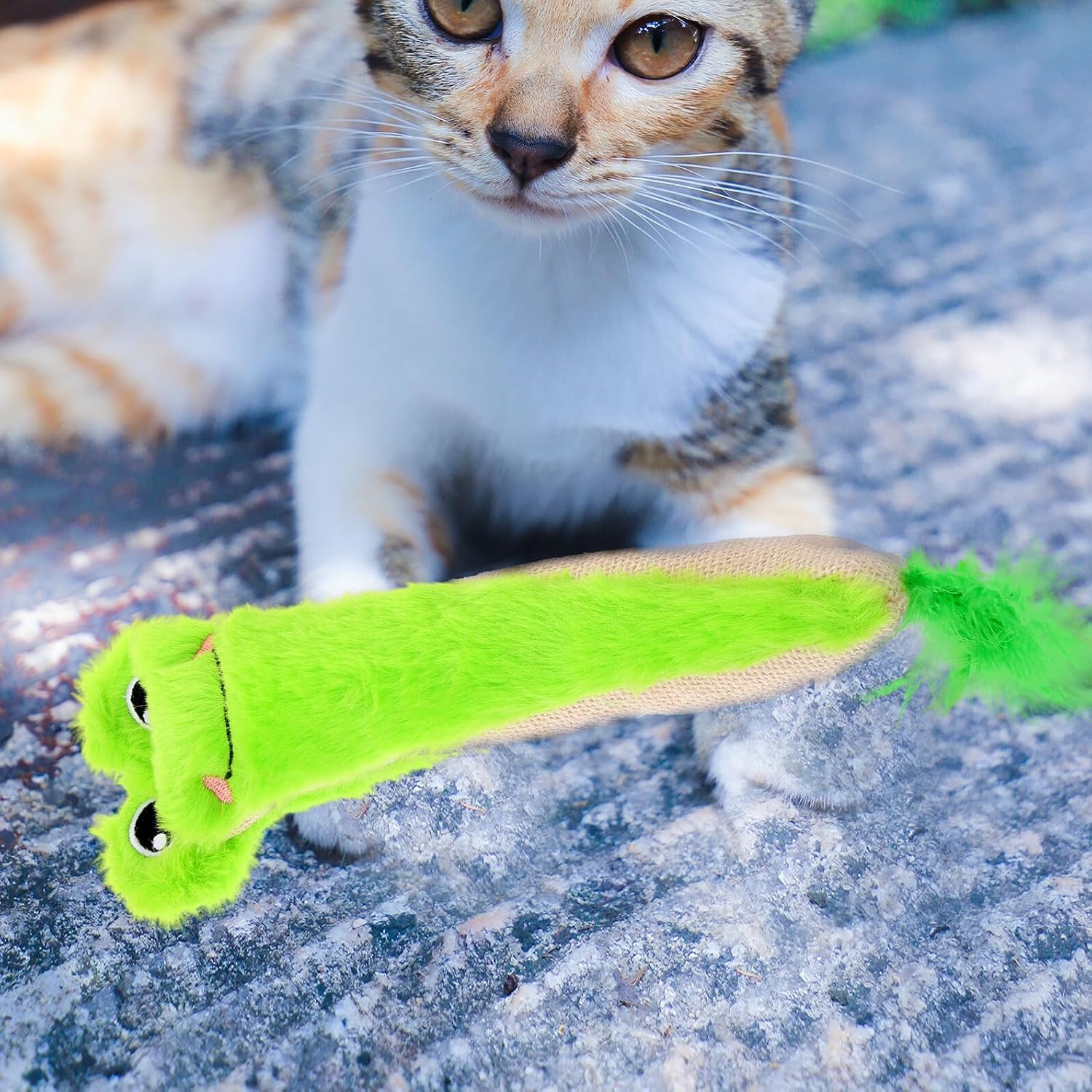 Plush Catnip with Crinkle Sound, Sisal Chew Resistant Indoor Cat for Kittens and Cats, Green Frog Shape Interactive Teething Plaything