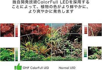 Amazon | ONF Flat One+ 水槽 ライト アクアリウムライト 60cm 電球色