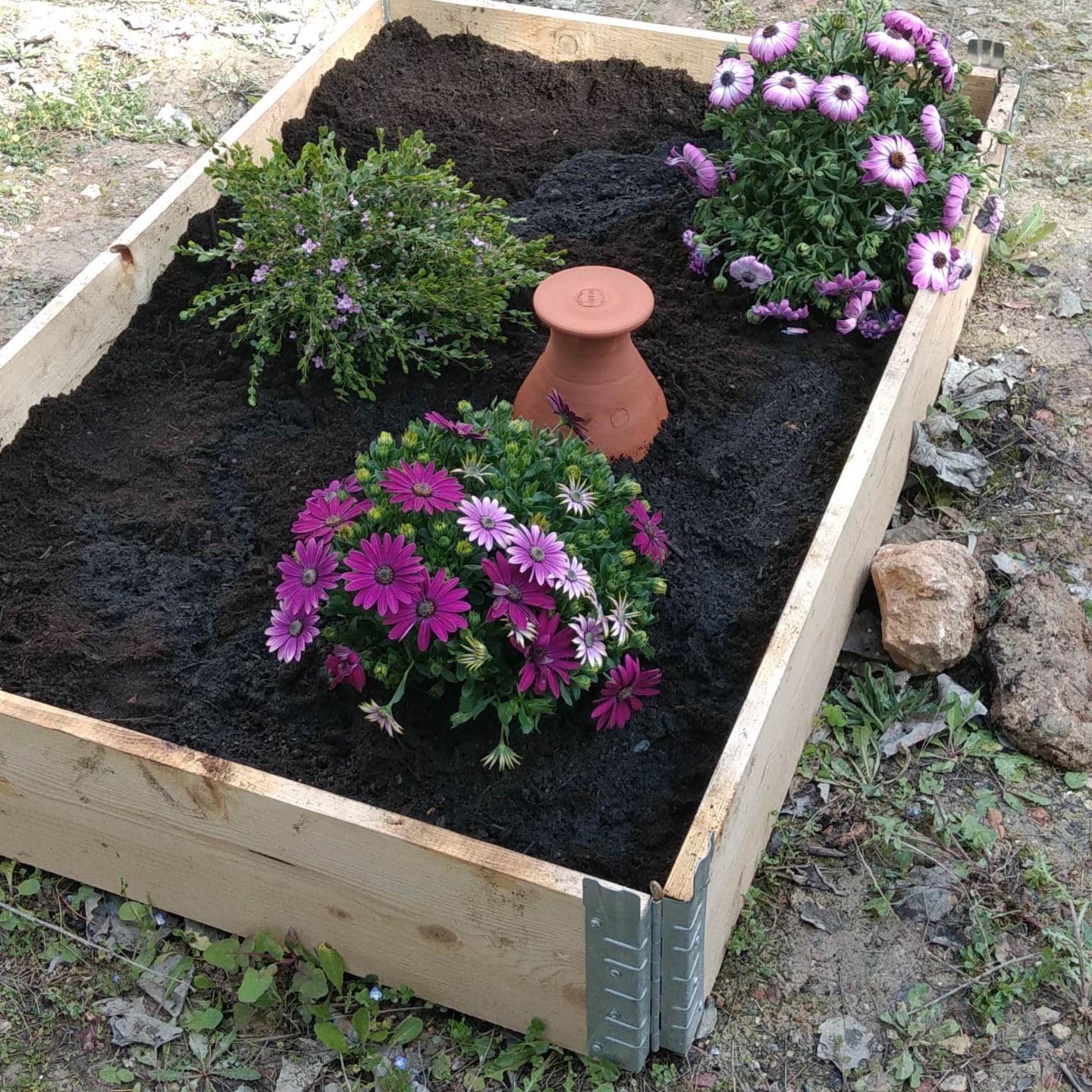 Duo d’Ollas Potager 4 L – Fabrication Française – Arrosage Autonome et Écologique pour Potager et Jardin