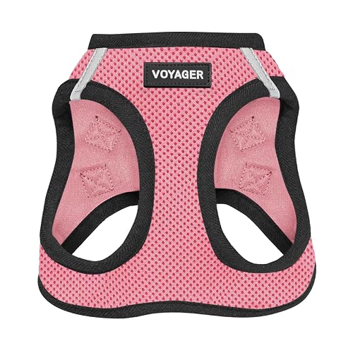 Best Pet Supplies Voyager Step-In Air