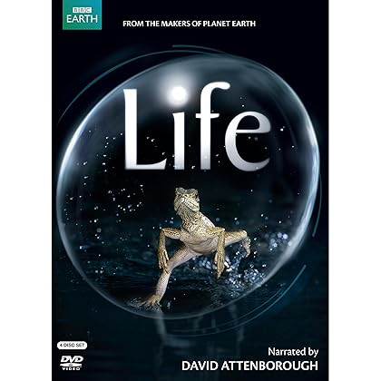 その他 Life in the Undergrowth [DVD] [Import] Amazon.com: Life in the Undergrowth : Various, Various
