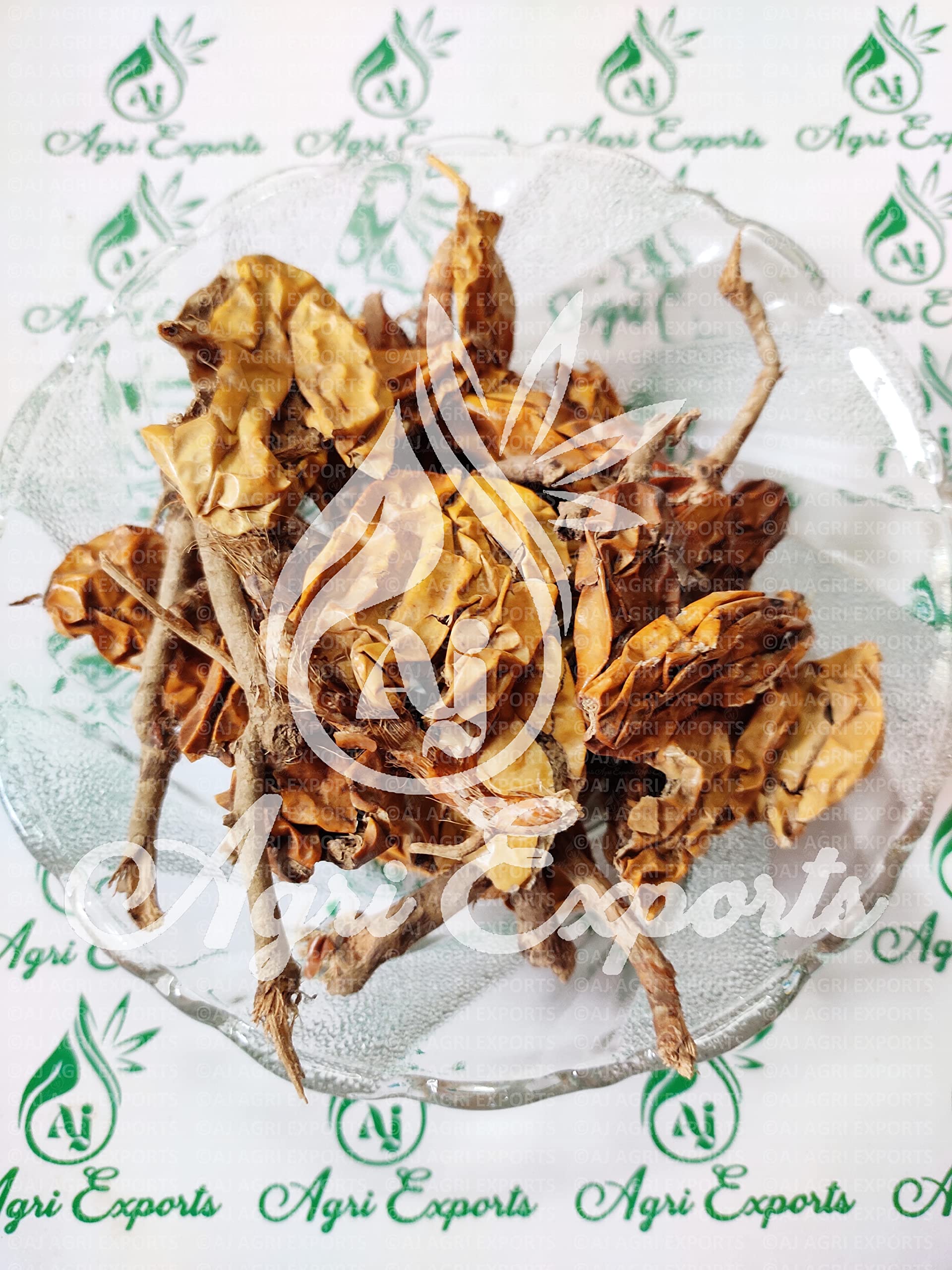 AJ AGRI EXPORTS Jivanti - Paalai Kodi - Jiwanti - Leptadenia Reticulata - Cork Swallow Wort - Jumka - Meethi Dodi - जीवन्ति (100 Grams) - Image 4 thumbnail