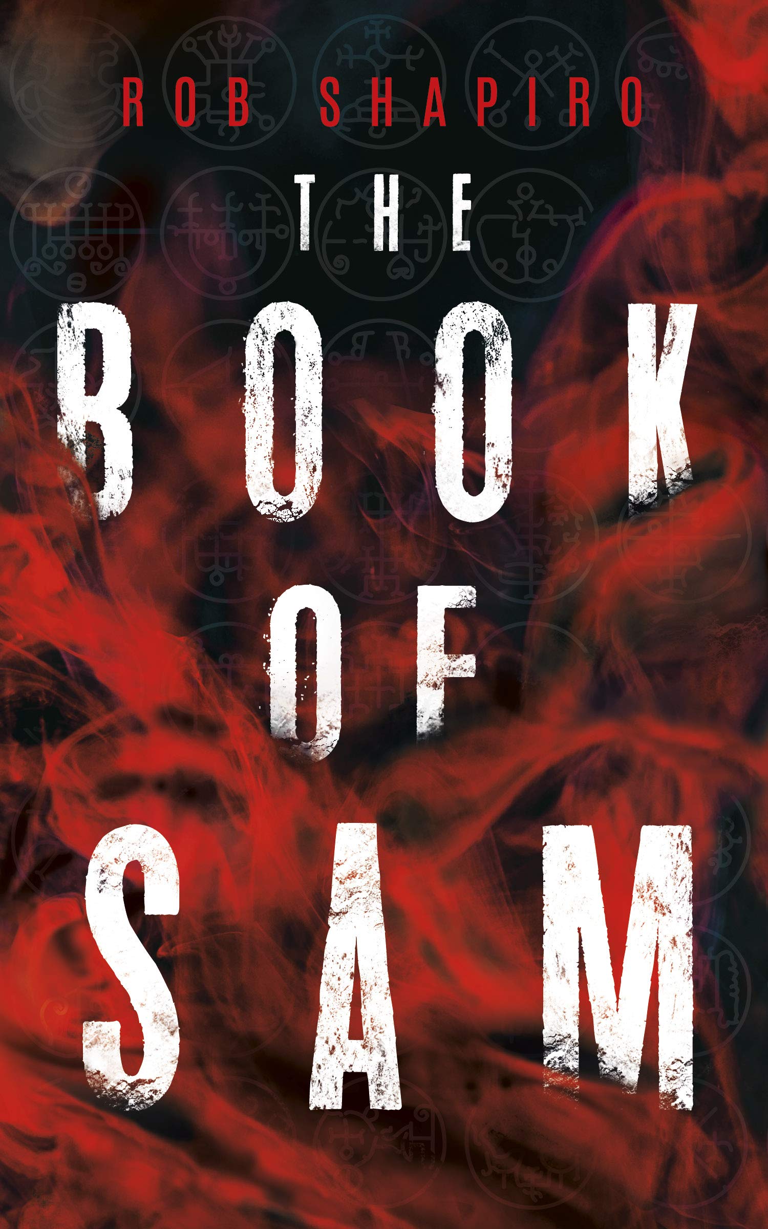 Amazon.com: The Book of Sam: 9781459746756: Shapiro, Rob: Books