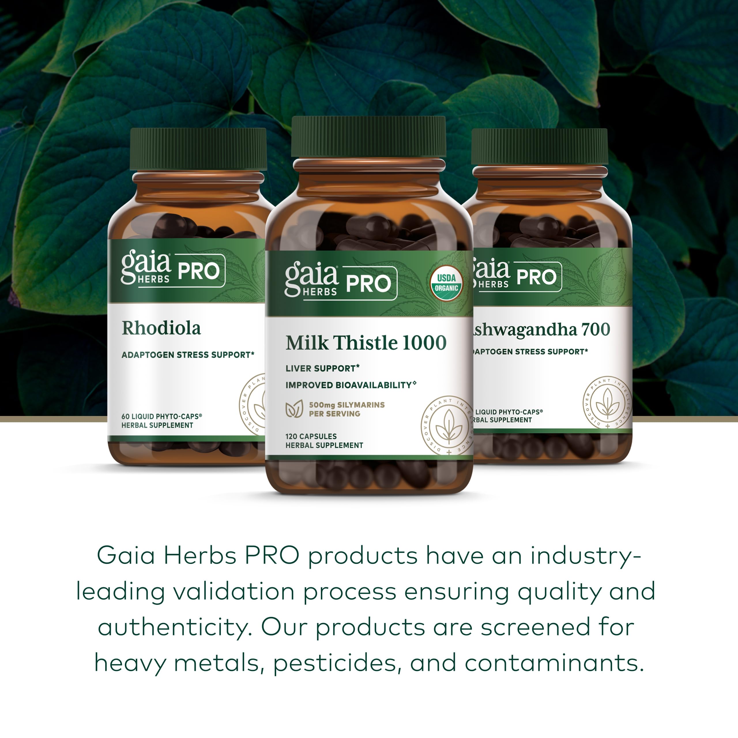 Gaia Herbs PRO Milk Thistle 1000, 120 Capsules, 30 Servings — Amazon image 6