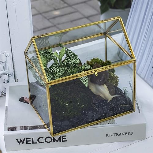 Miniatura 2 de NCYP Terrario dorado de vidrio hecho a mano con tapa para hábitat de reptiles  5.9 x 4.4 x 6.4 pulgadas, caja de vidrio con cierre en forma de casa,