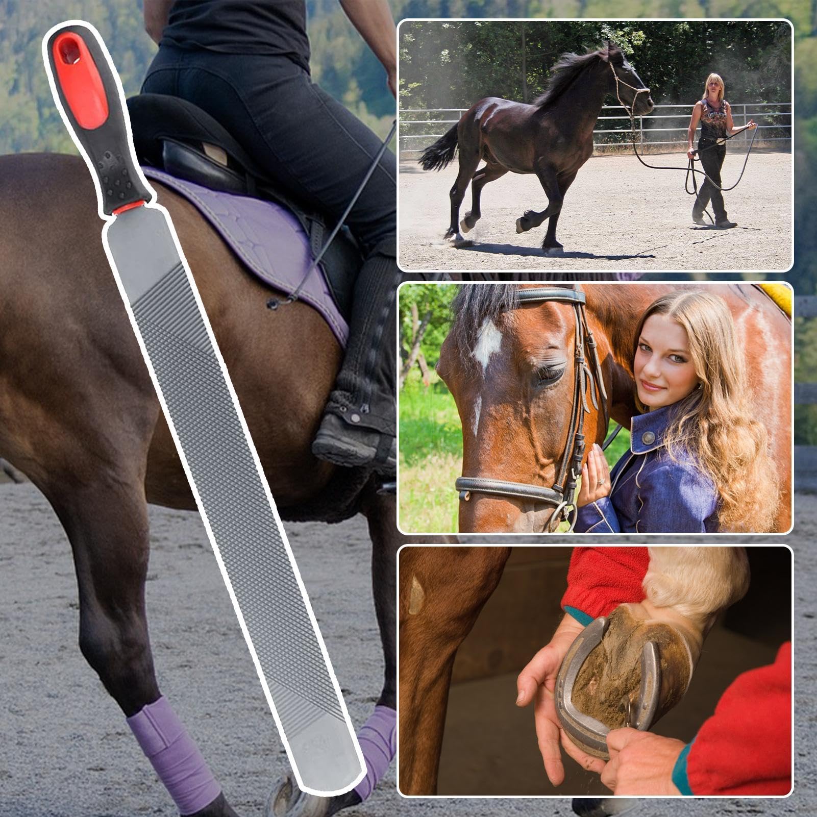 Râpe – Outil de Coupe de Sabots | Râpe Farrier – Farrier – Répartition des Sabots Double Face du Cheval – Outil de Coupe Ergonomique – pour chèvre, Vache, âne, Cochon, Sabots d'animaux, Animal