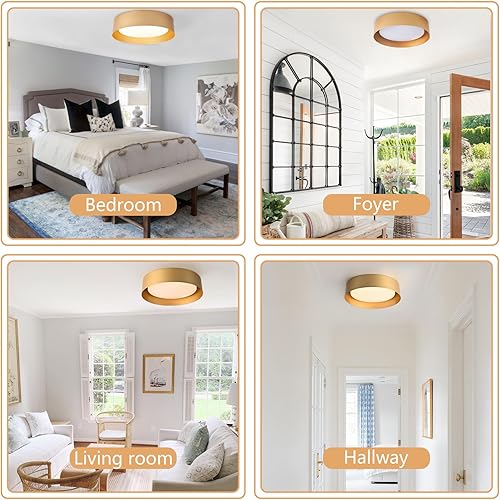 Miniatura 6 de Bargeni Lámpara de techo de montaje empotrado, lámpara de techo LED de 16.5 pulgadas, acabado dorado pulido, montaje en techo, accesorios de