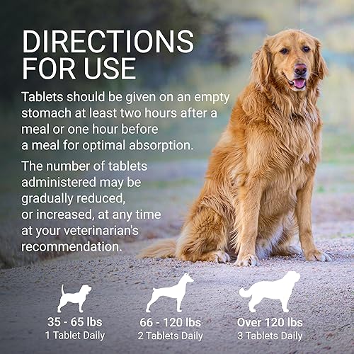 Miniatura 7 de Nutramax Denosyl para perros pequeños y gatos