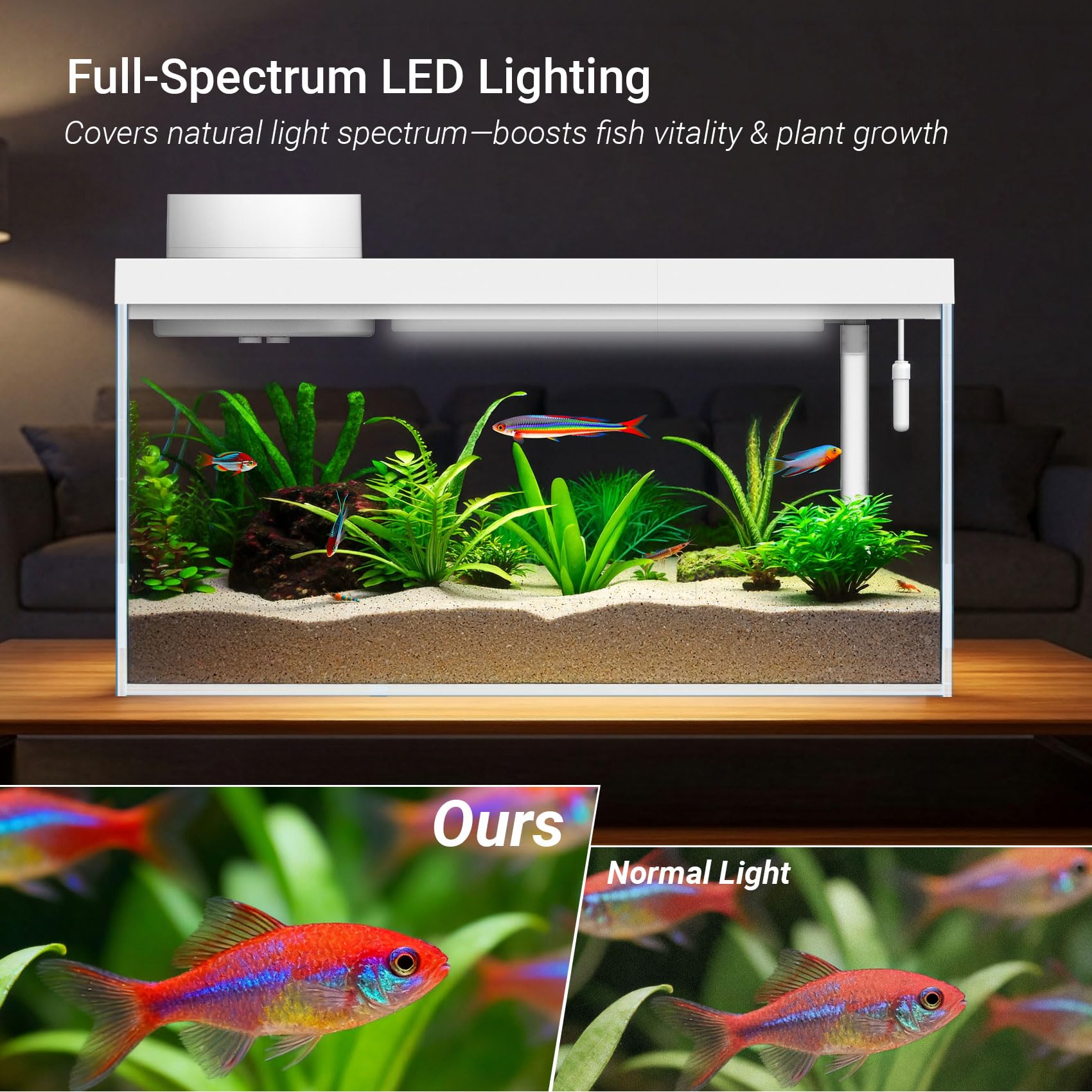 Smart Desktop Aquarium Kit mit App-Steuerung – 1,3 Liter Glas-Fischbecken mit automatischem Futterspender, RGB-Beleuchtung und Temperaturüberwachung – selbstreinigendes Filtersystem für Betta, Guppy