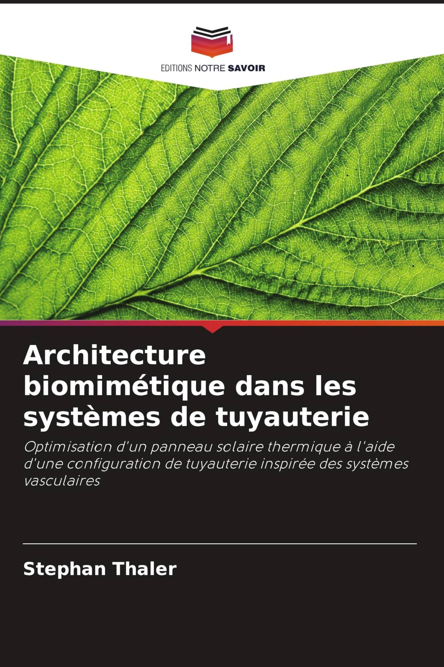 Architecture biomimétique dans les systèmes de tuyauterie: Optimisation d'un panneau solaire thermique à l'aide d'une configuration de tuyauterie inspirée des systèmes vasculaires