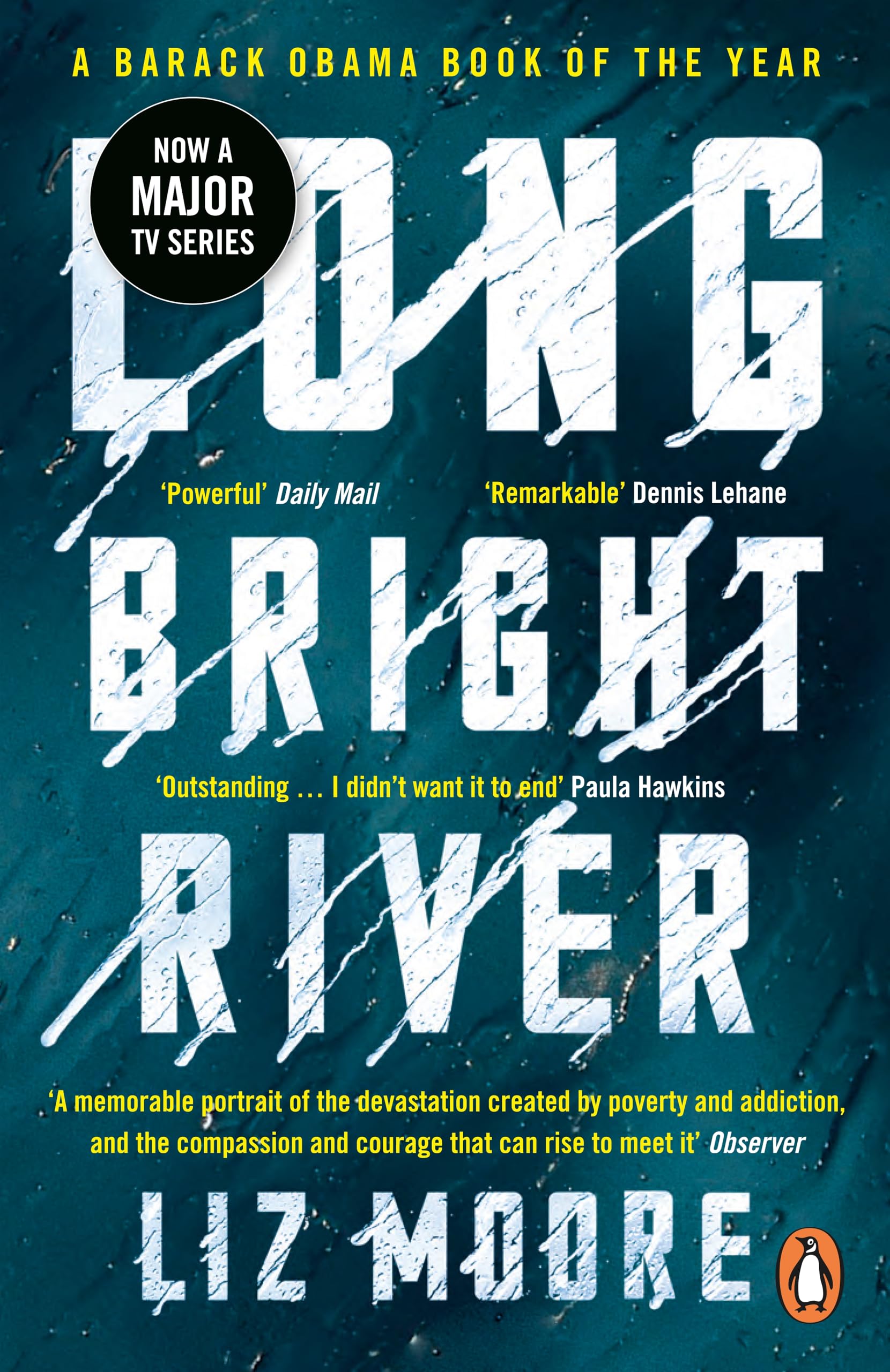 Long Bright River: an intense family thriller