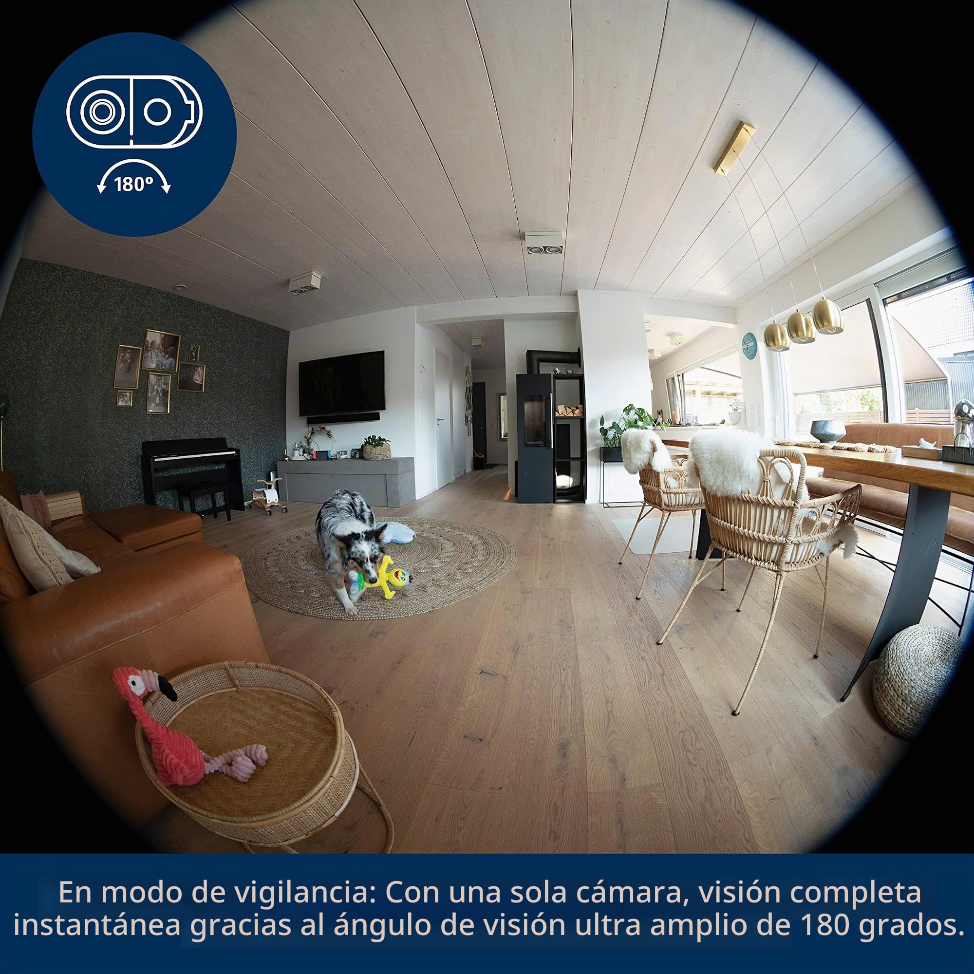 ABUS Cámara de interior PPIC31020 WLAN Privacy - Full HD, 180° y WiFi Dual | Cámara de vigilancia con modo privacidad, visión nocturna, audio bidireccional y almacenamiento local en tarjeta microSD