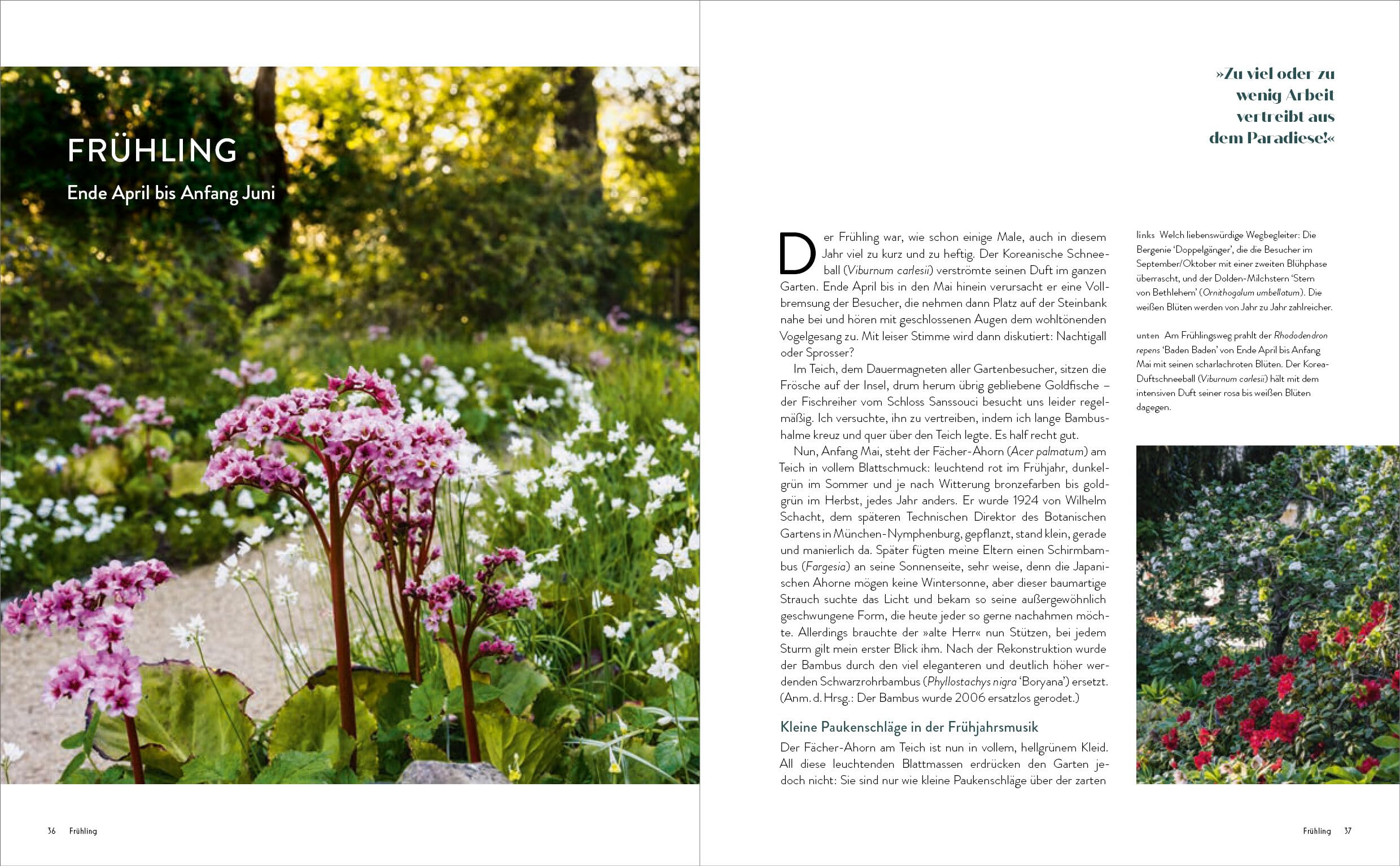 Der Garten meines Vaters Karl Foerster: Bornimer Gartentagebuch in sieben Jahreszeiten - Vollständig aktualisierte, erweiterte und neu fotografierte Ausgabe