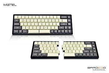 MISTEL BAROCCO MD650L 分割キーボード Amazon.co.jp: Mistel BAROCCO MD650L 分離式 メカニカル
