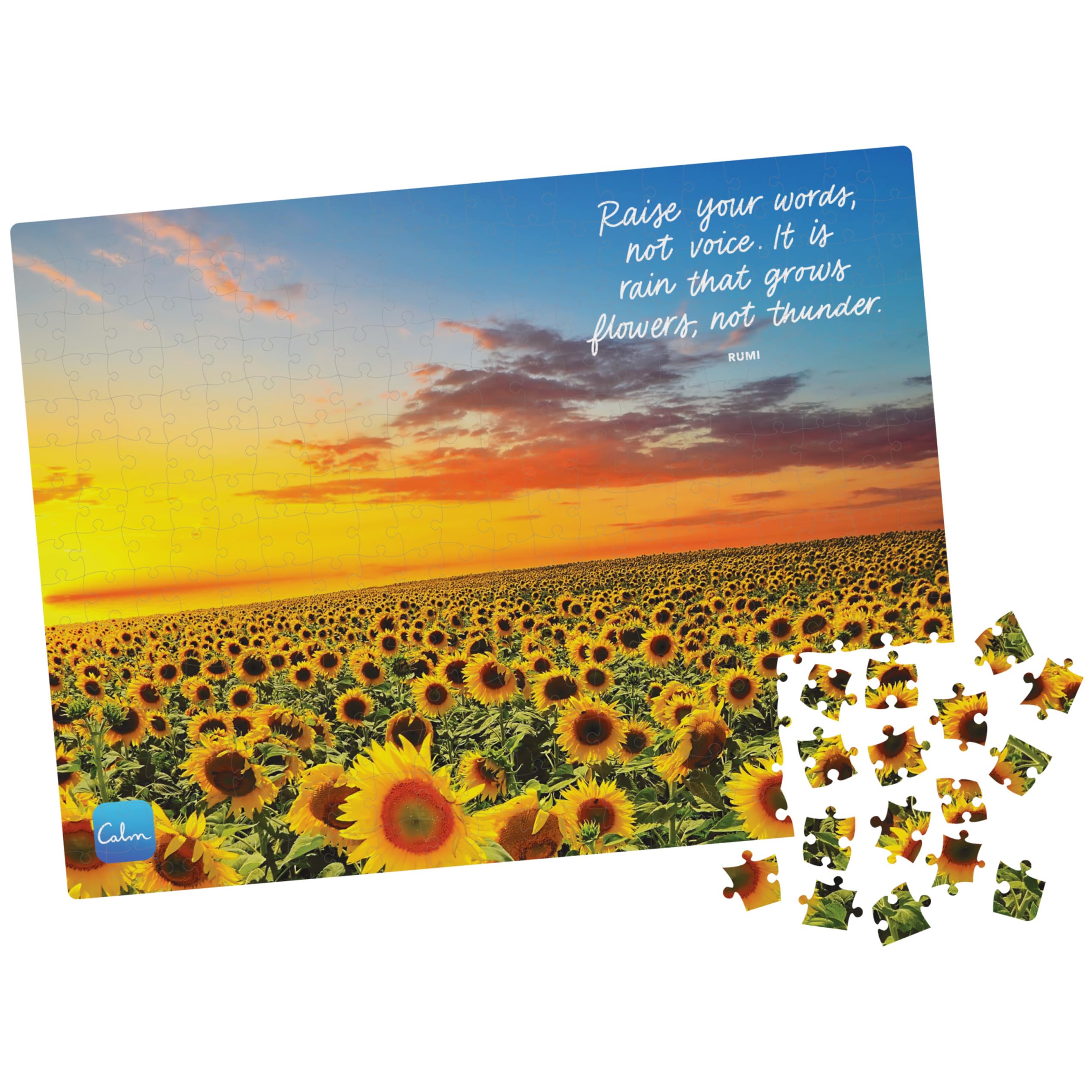 Puzzle De 1000 Piezas De Perezoso En El Inodoro – Divertido Y Desafiante – 70x50 Cm – Regalo Original Para Adultos
