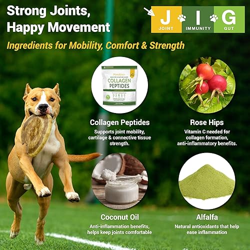 Miniatura 3 de MariGold JIG para perros  Polvo de apoyo para articulaciones inmunidad y intestinal sin OMG cacahuetes orgánicos cáñamo orgánico sin granos ni soja