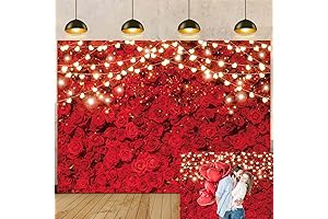 Red Rose Valentines Day Backdrop for Photography