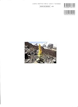 中国の蝶 |本 | 通販 | Amazon