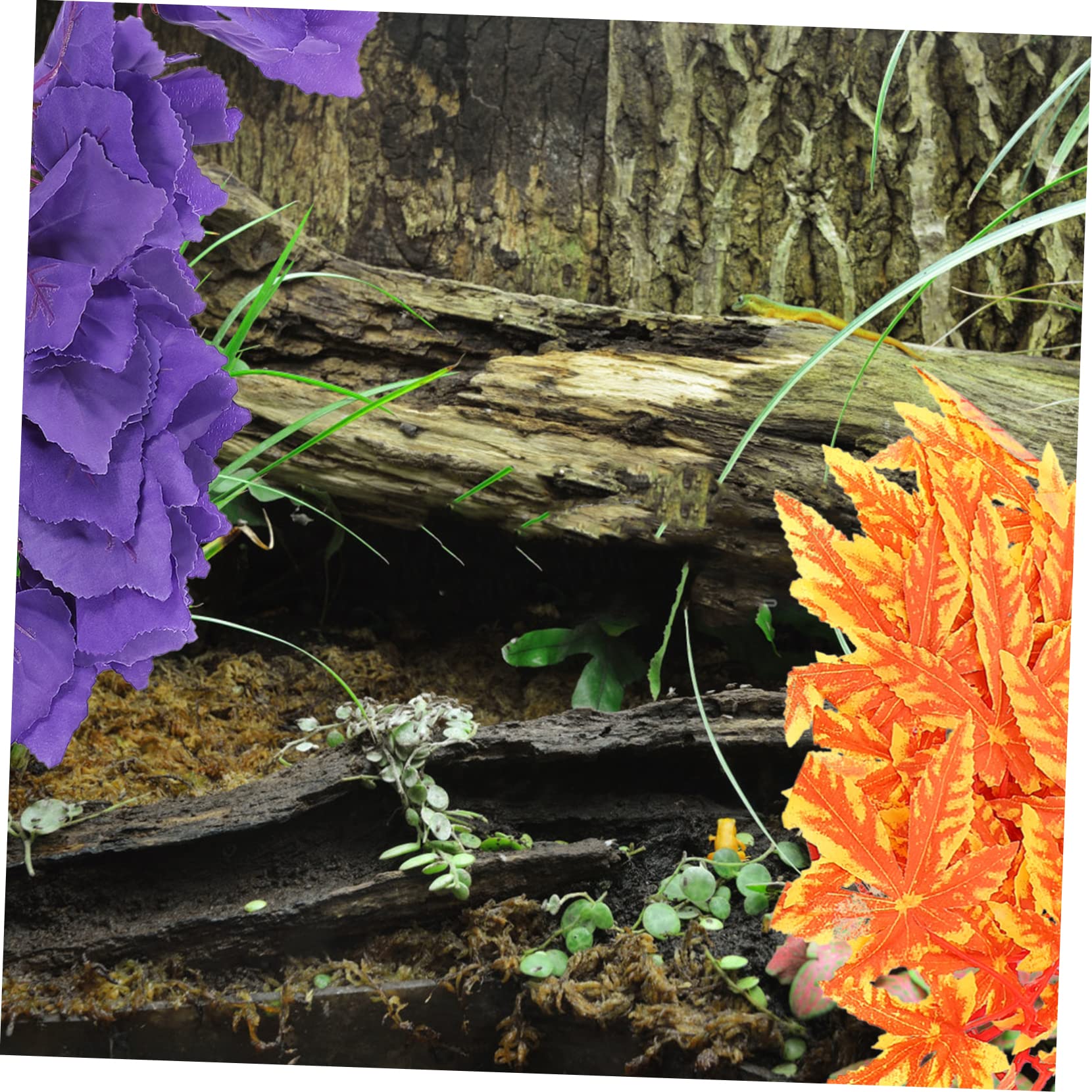 Yardwe 6 Stück Kletterbox Für Haustiere Rattan Realistische Lebensräume Für Reptilien Pflanzen Pflanzenschmuck Künstliche Pflanze Reptilien Reptilienbecken Zubehör