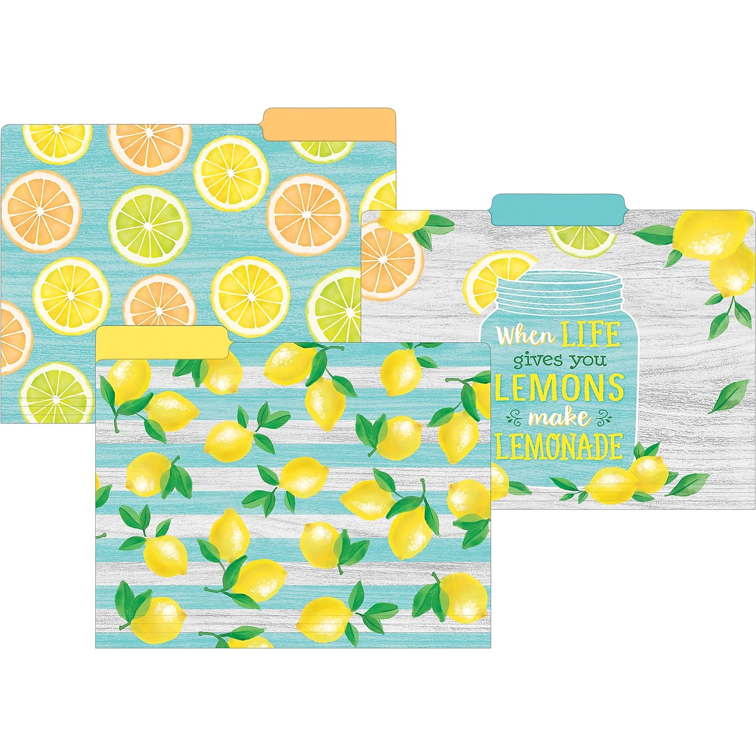 Amazon.com : Teacher Created Resources Lemon Zest File Folders