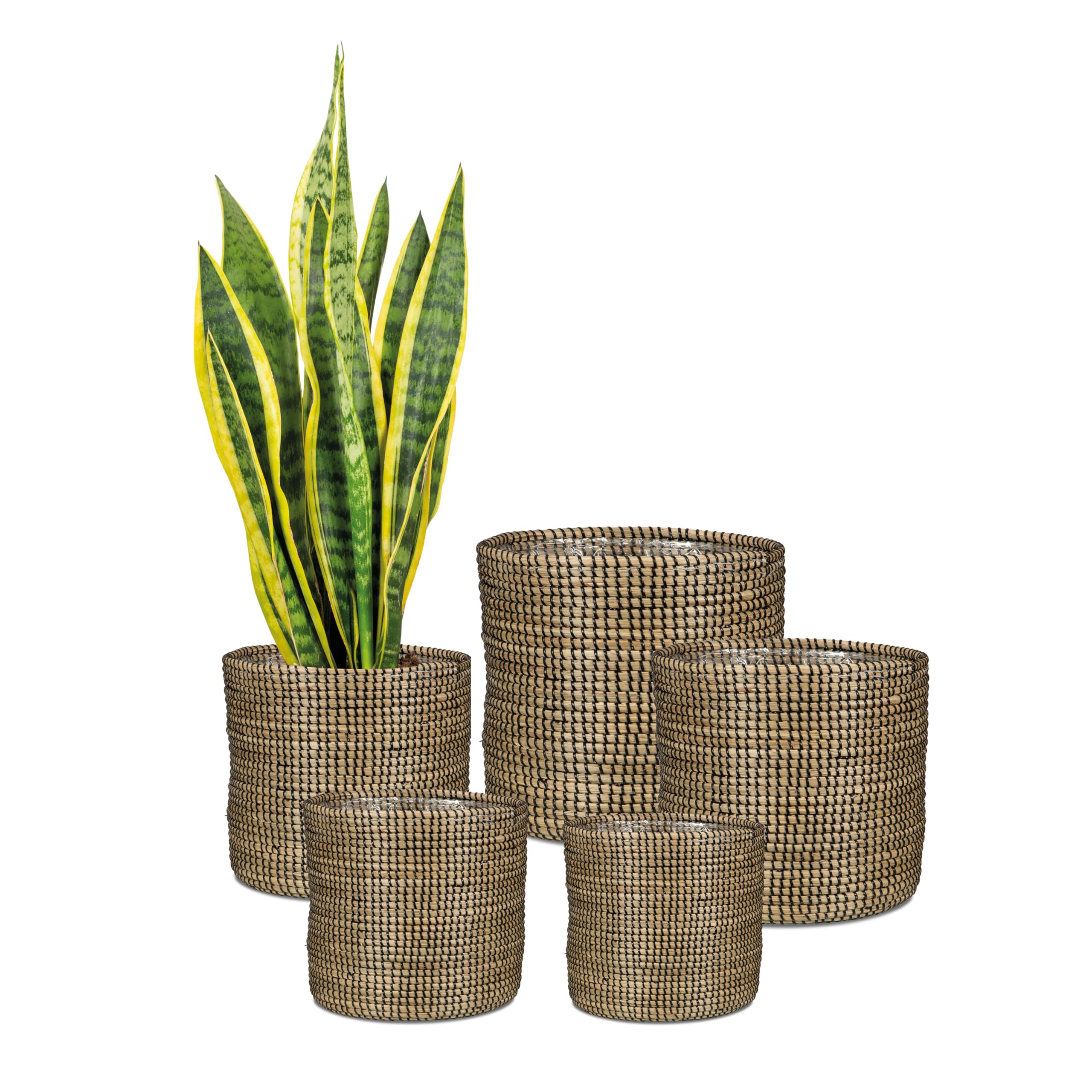 Scheurich Jonc de mer 32 - Pot en Osier - en jonc de mer - Couleur : Noir - Diamètre : 32 cm - Hauteur : 30,5 cm - Volume : 26,9 l