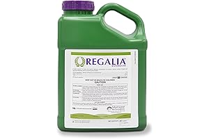 10596 Marrone Regalia CG-128oz, Clear