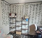 Review Image by Amazonian Amazonian