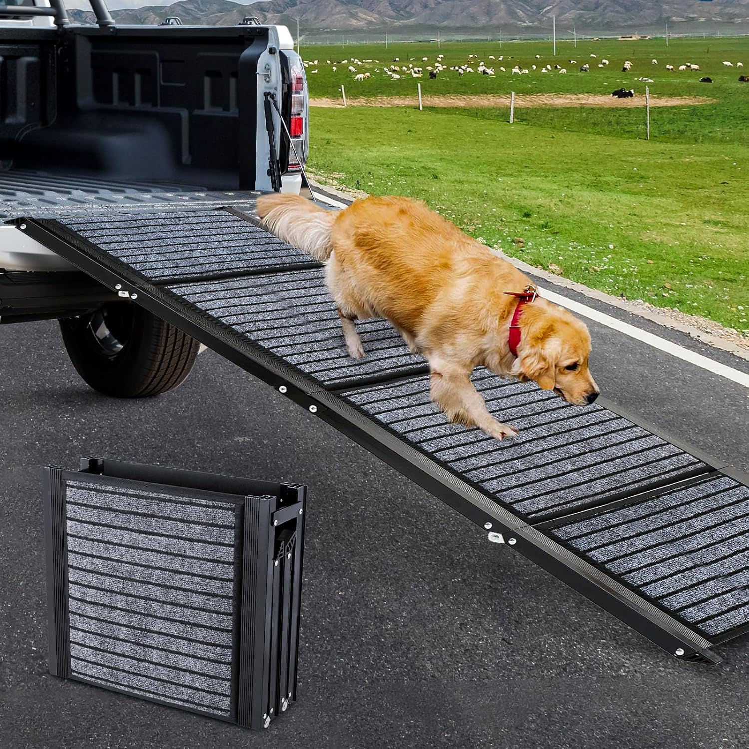 Longest 71" & Widest 20" Dog Car Ramp,Foldable Dog SUV & Truck Ramp with NonSlip