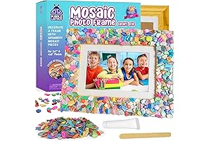 PURPLE LADYBUG Mosaic Photo Frame Craft Kit - DIY Arts & Crafts...