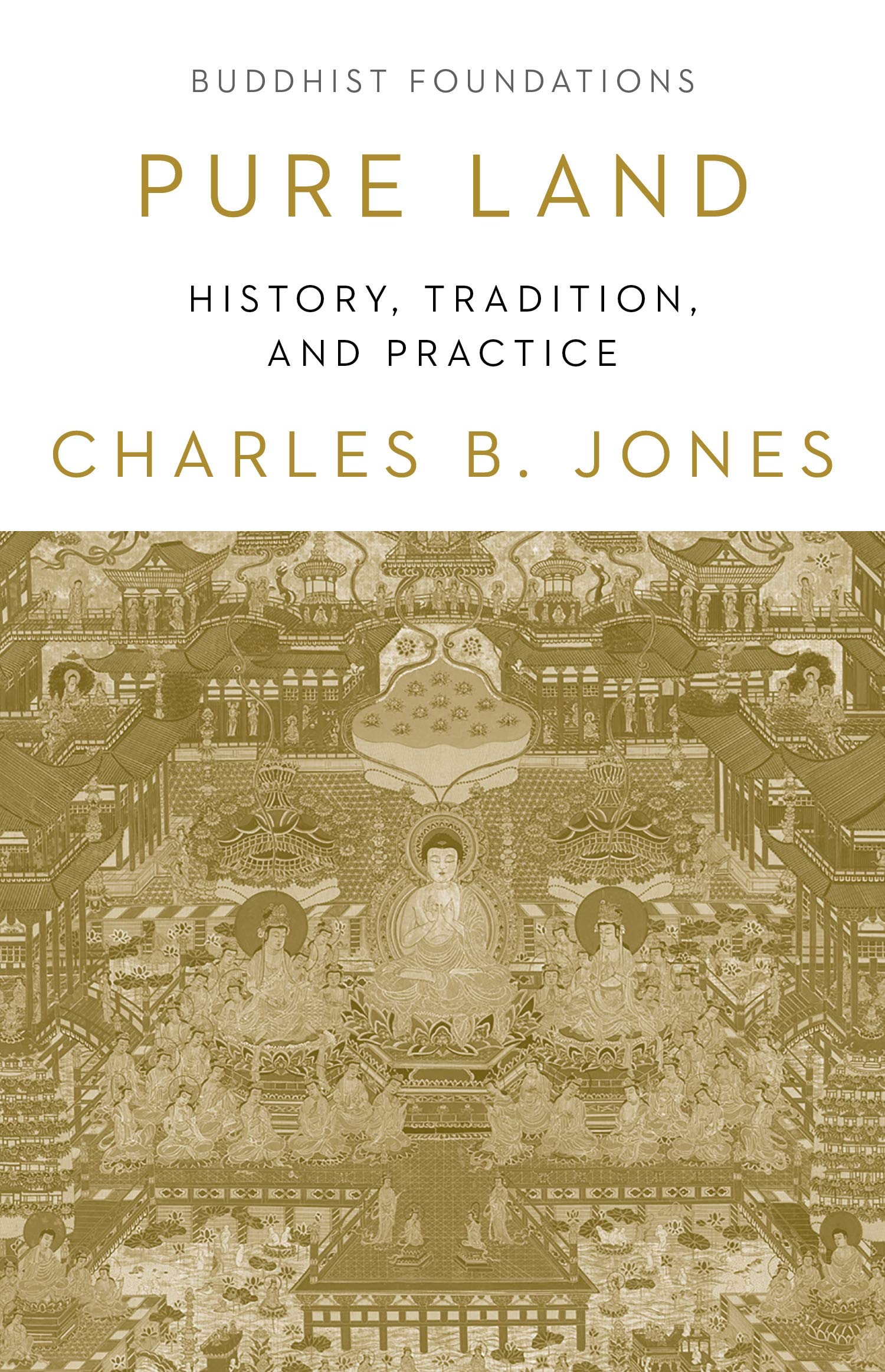 Pure Land: History, Tradition, and Practice (Buddhist Foundations)