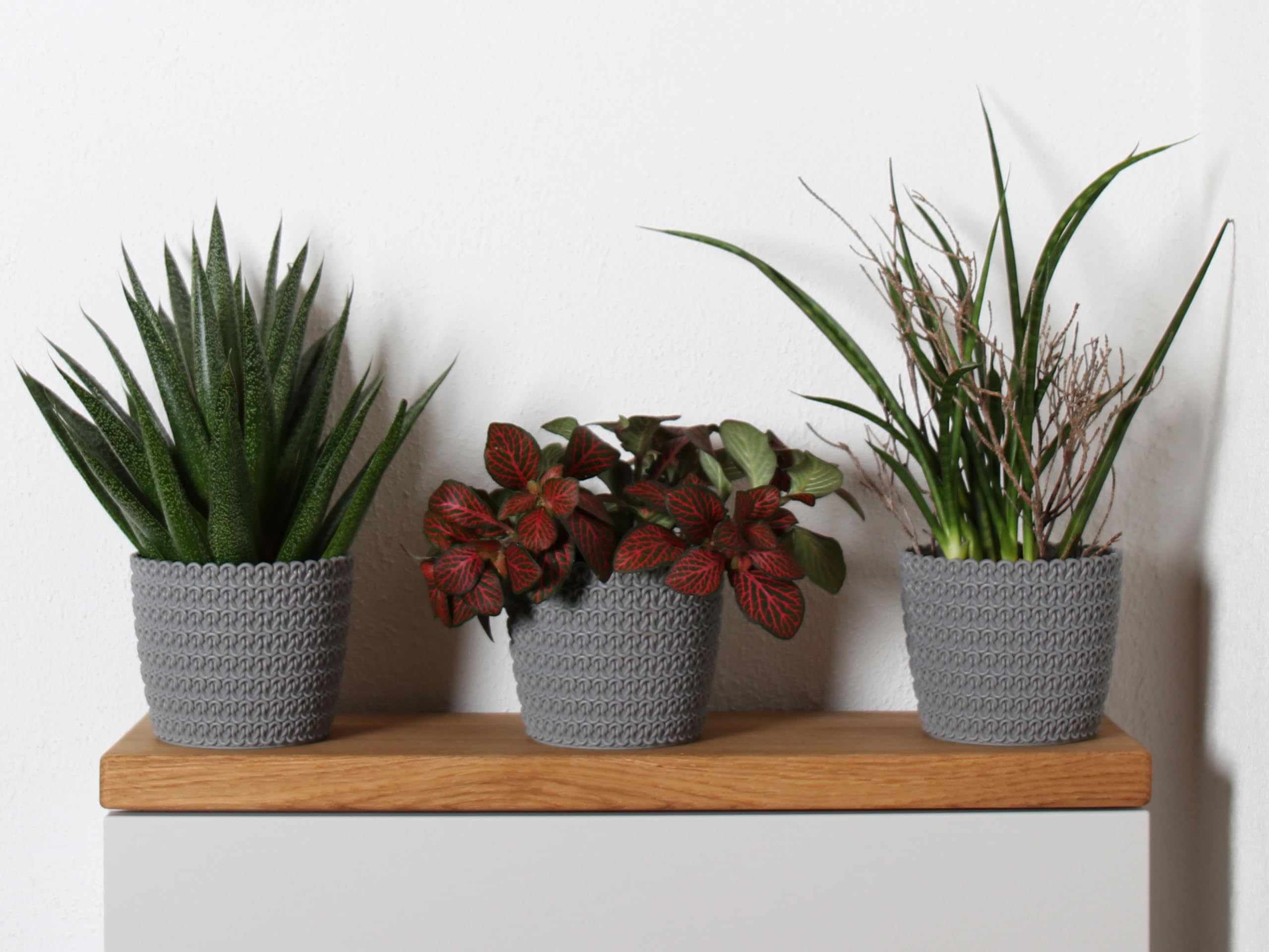 idea-station RIBA Flower Pot Set 6 x 11 cm, Grey, Shatterproof Plastic Flower Pots for a Wide Range of Plants Flowers - Image 2