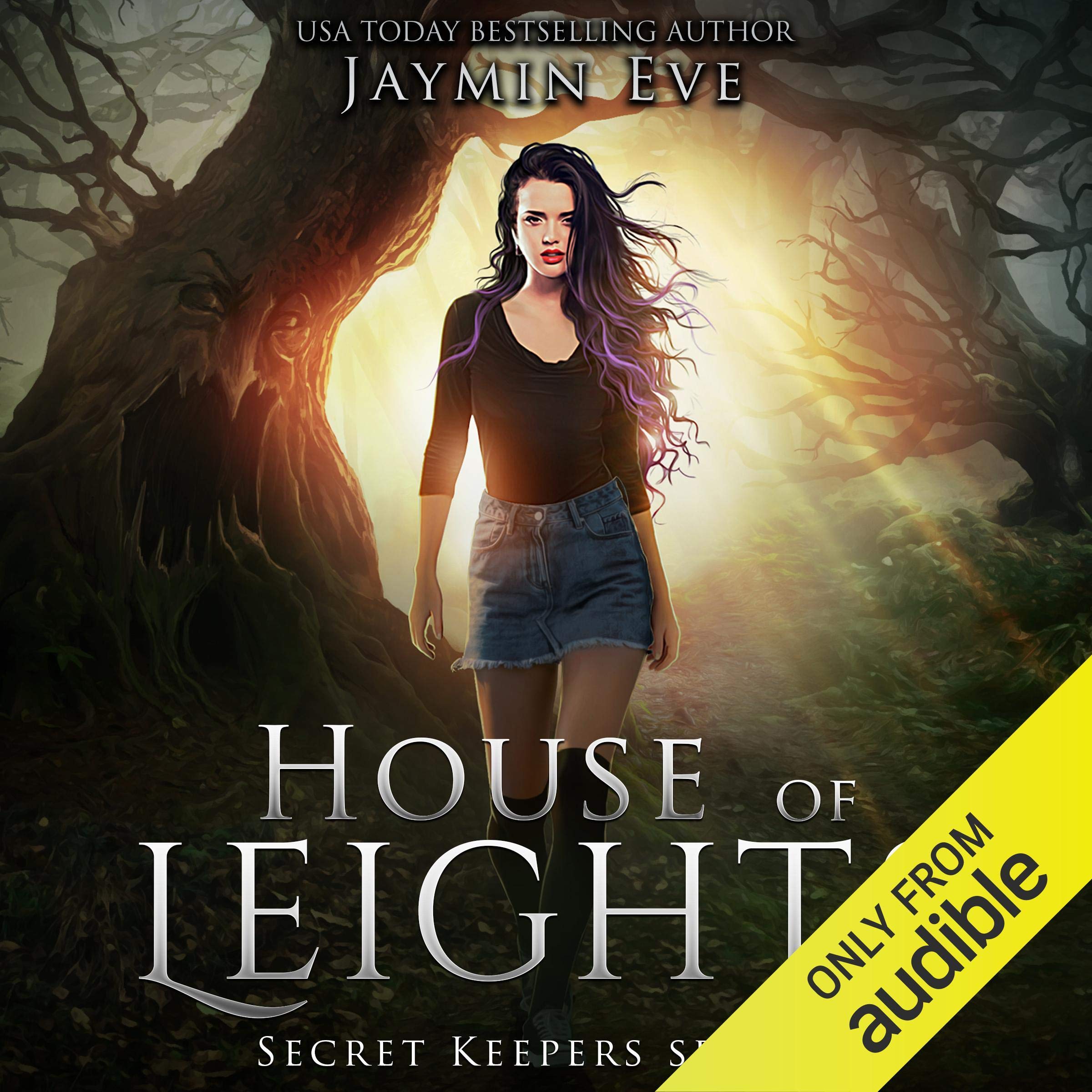 Cover art for House of Leights