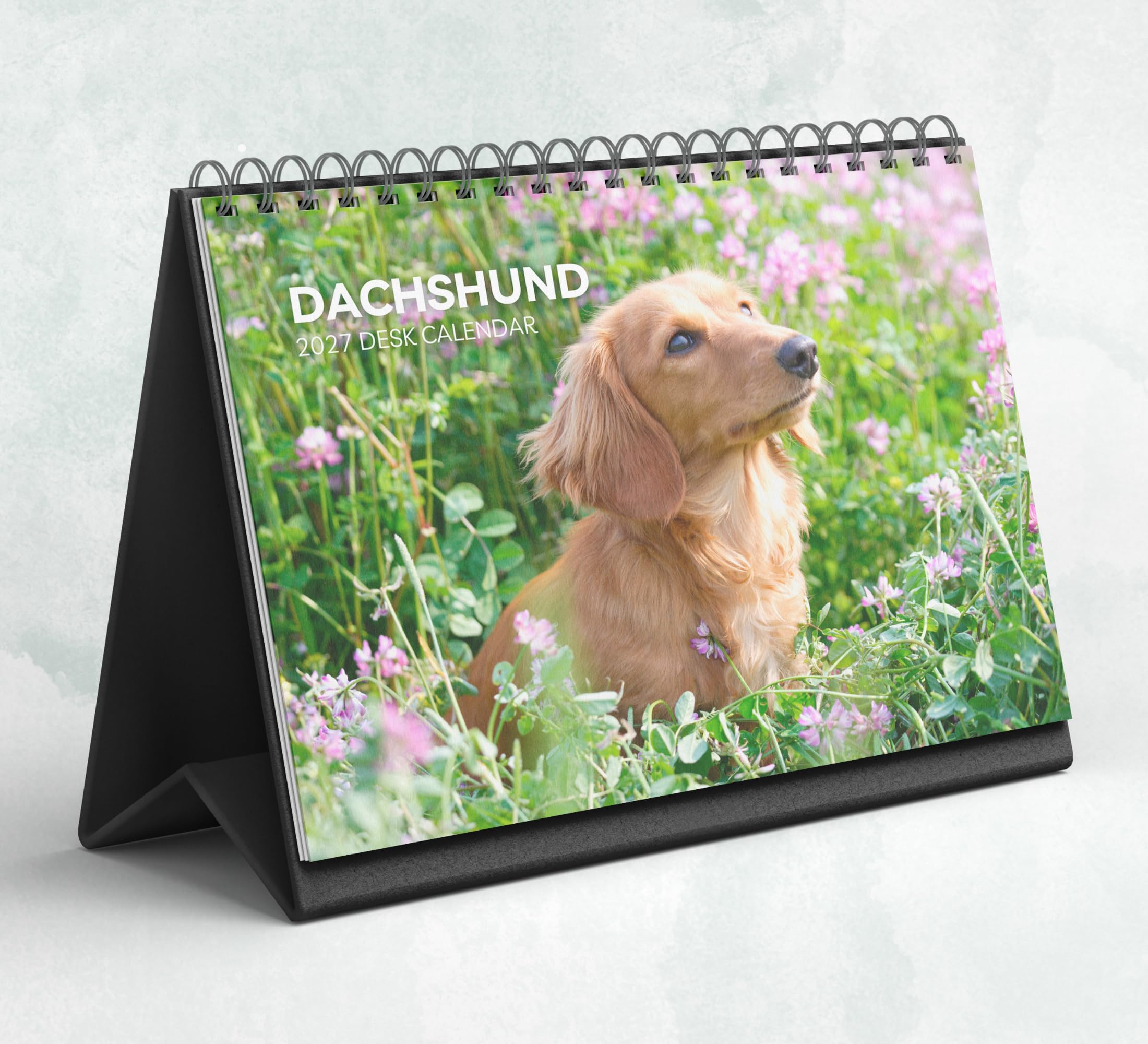 Dachshund Desk Calendar 2027-2028: Standing Flip Desktop Calendar with Thick Paper (15.25cm x 22cm - similar to A5)