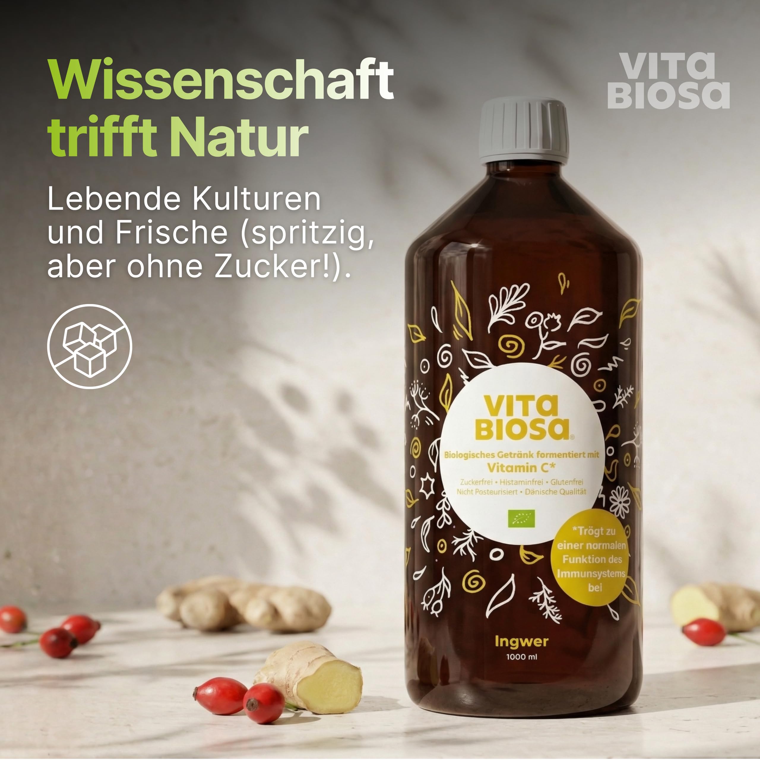 Vita Biosa Ingwer + Vitamin C Bio Fermentgetränk 1 L – mit Vitamin C zur Unterstützung des Immunsystems – mit Ingwer für die Verdauung – vegan, zuckerfrei, laktosefrei, Bio-Qualität
