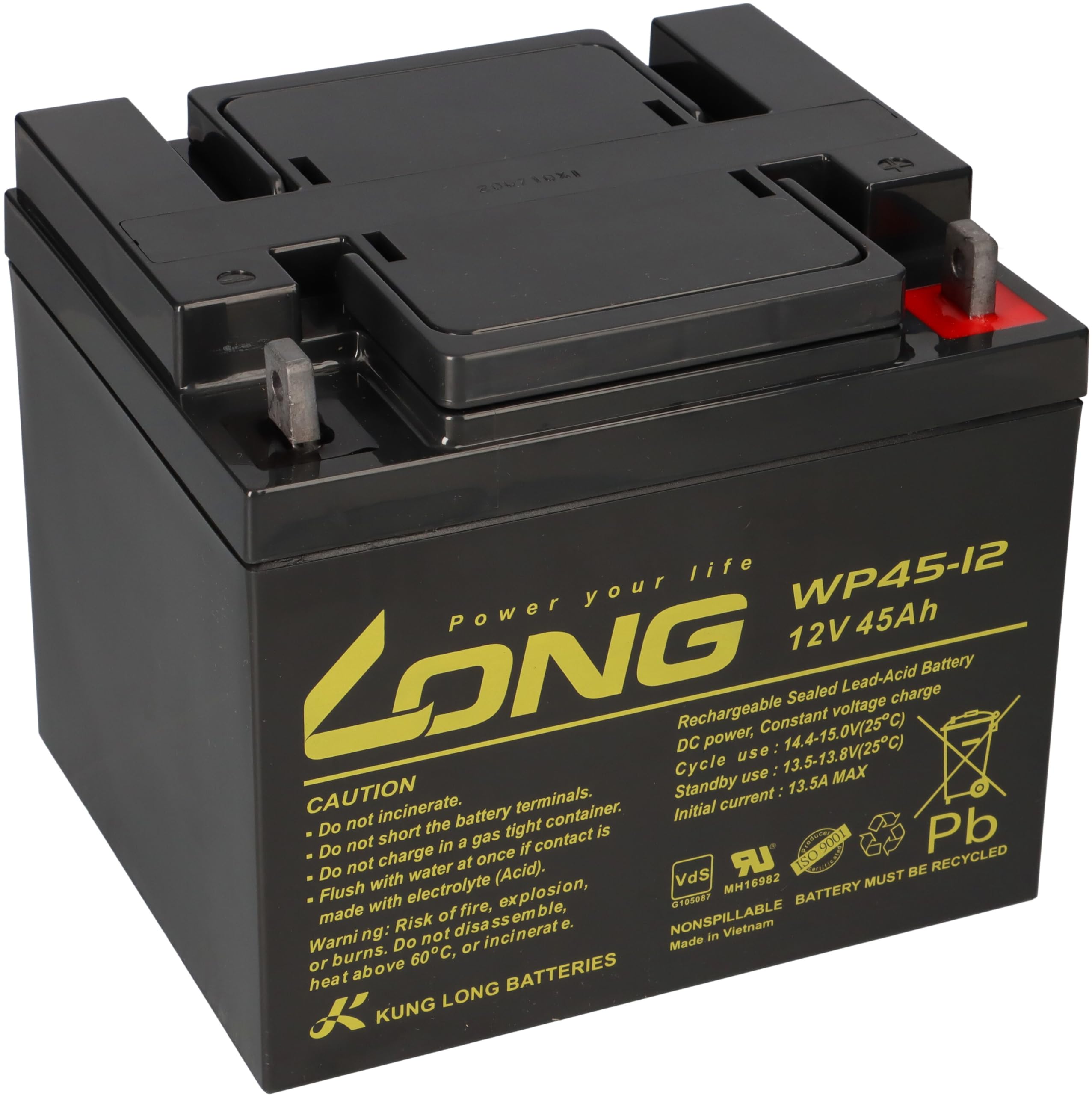 Batterie au plomb longue WP45-12 12 V 45 Ah avec VDs