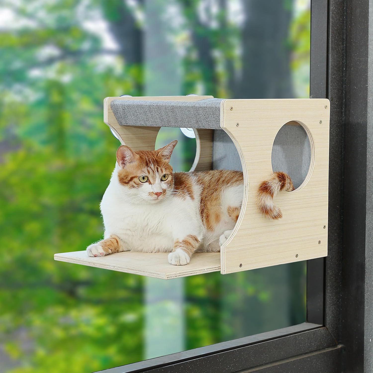 review Window Cat Perch Shelves for Inside, Sturdy Wood Climbing Seat Mounted with Heavy Duty Suction Cups, Corner Window Bed for Overlooking and Sleeping(Left)