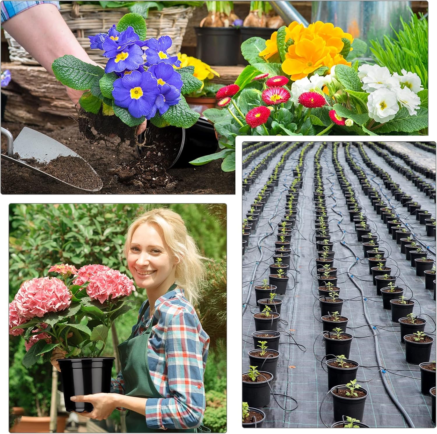 Eaasty Flexible Plant Nursery Pots Thickened Plastic Seedling Pots Soft Plastic Flower Pots Seed Starting Plant Containers with Drainage Hole for Cuttings Transplanting Planter (150 Pcs, 5 Inch)