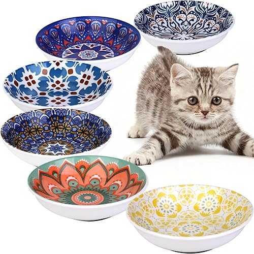 Cuencos de cerámica para gatos, paquete de 6 cuencos coloridos para gatos, platos antideslizantes para gatos, cuencos anchos para mascotas aptos