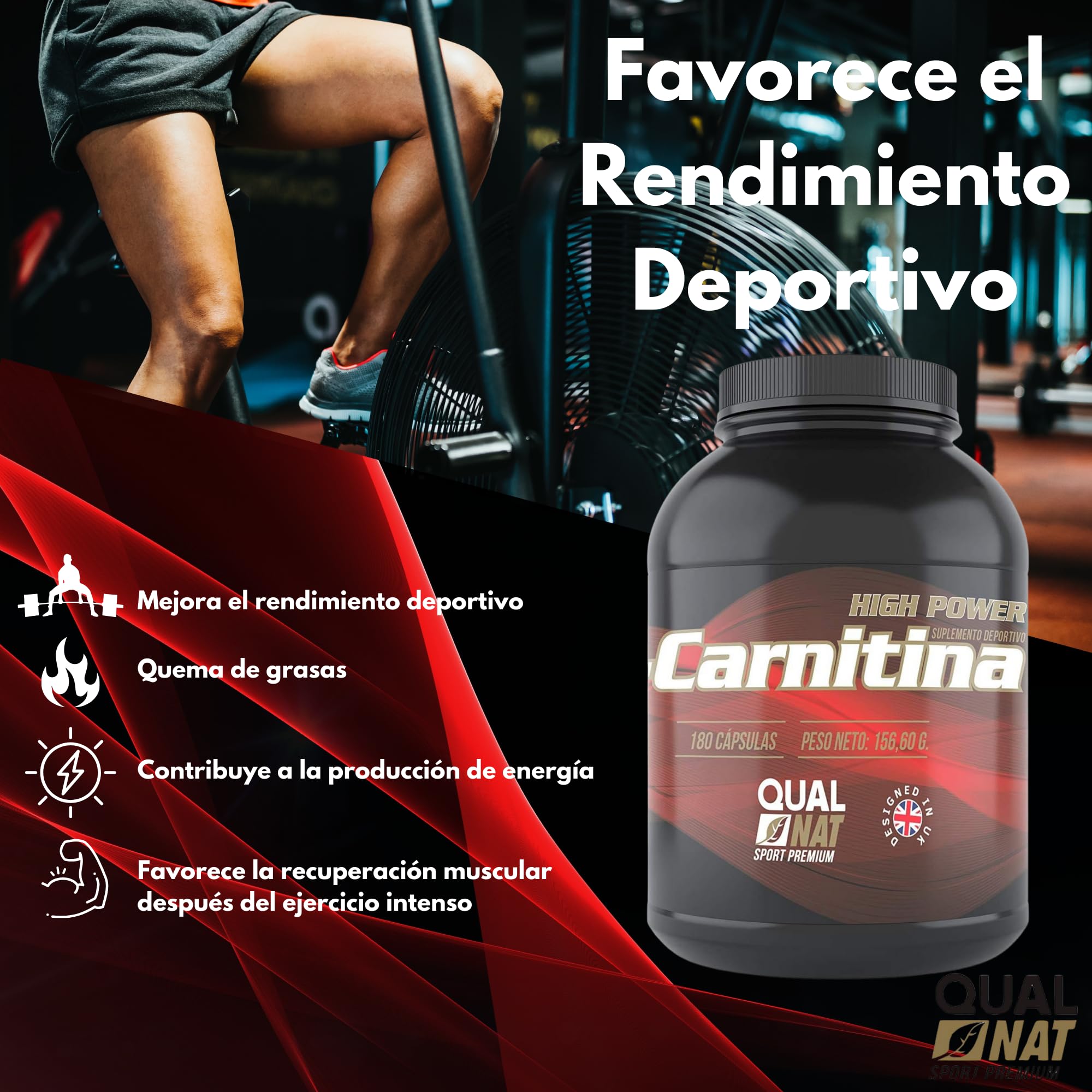 l carnitina despues de entrenar Carnitina 180 Cápsulas | L Carnitina Pura Alta Concentración | Aminoácido  para Deportistas y Entrenamiento